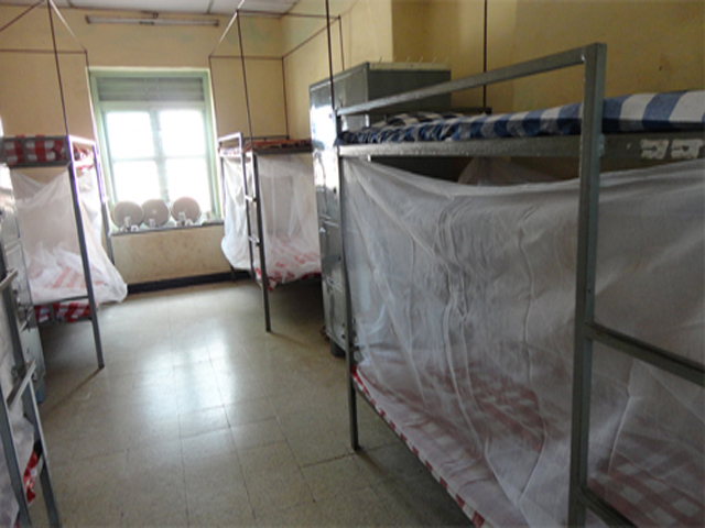 Plants: image 7 0f 9 thumb