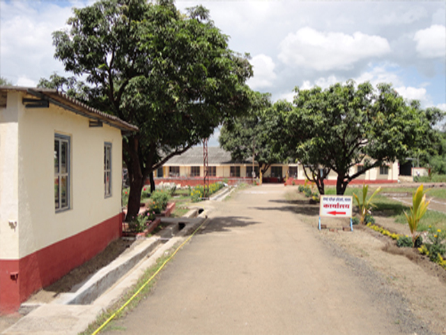 Plants: image 2 0f 9 thumb