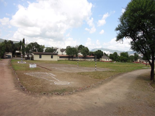 Plants: image 3 0f 9 thumb