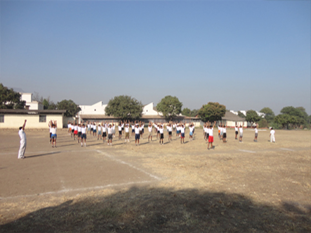 Plants: image 4 0f 9 thumb