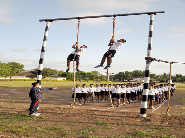 Plants: image 8 0f 9 thumb