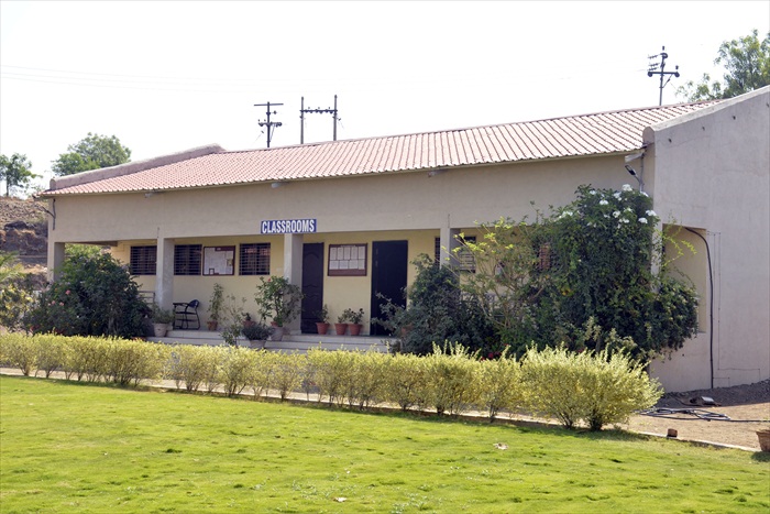 Plants: image 3 0f 21 thumb