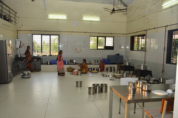 Plants: image 10 0f 21 thumb