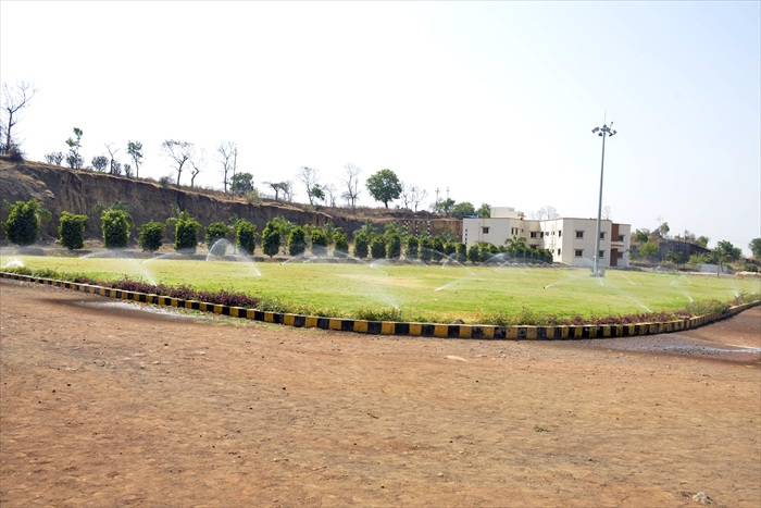 Plants: image 11 0f 21 thumb